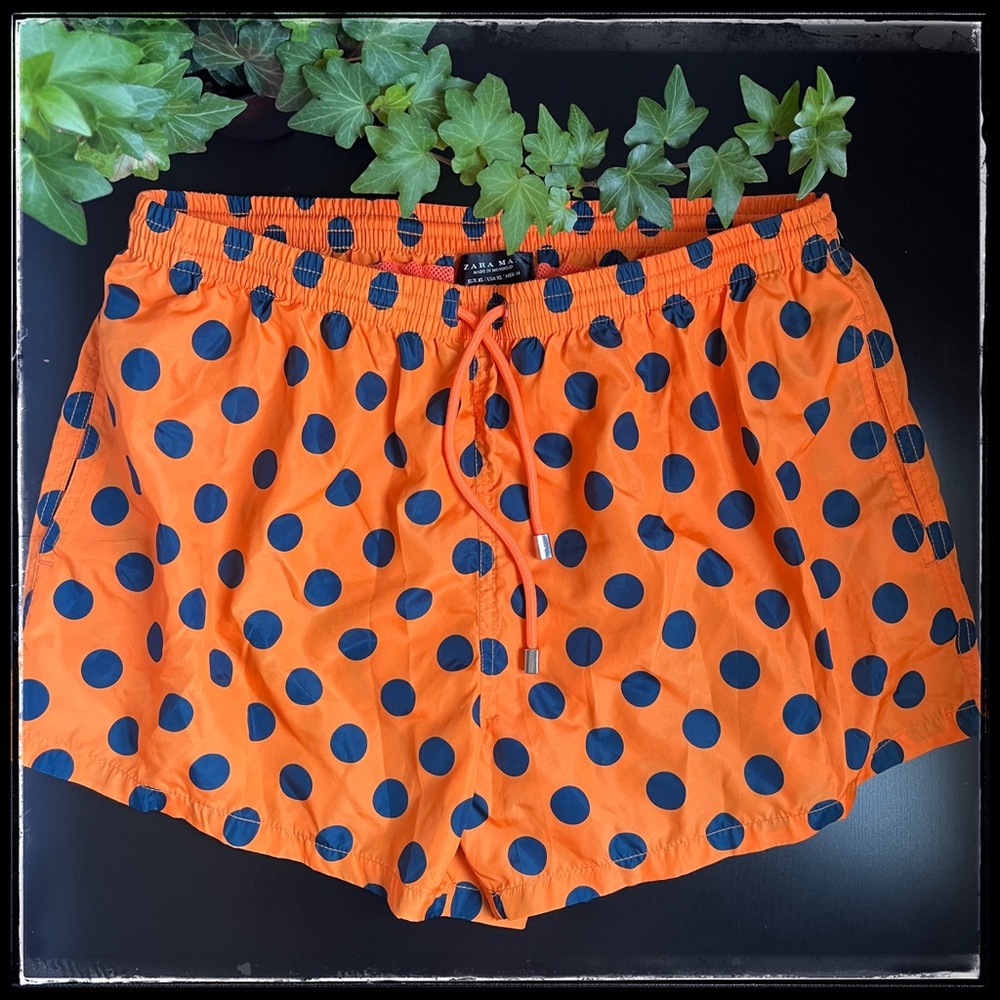 🦀ZARA Swim shorts